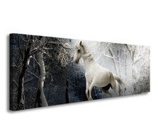 Images sur toile sur cadre 120 x 40 cm cheval pret a accrocher 5739