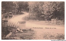 CAR-AFQP16-0879-BELGIQUE - VIRELLES-LEZ-CHIMAY - Chemin de la forge