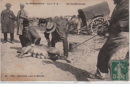 Vie normande vente d - la,