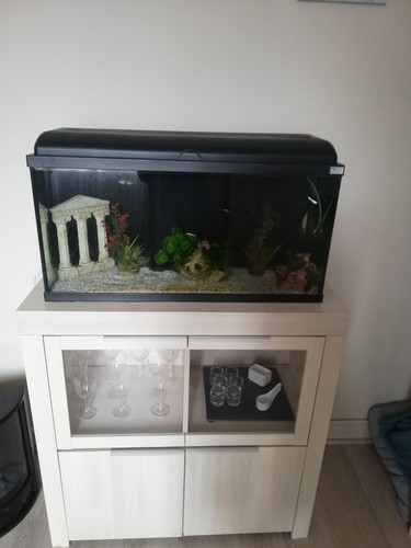 Meubles salon aquarium - meubles,