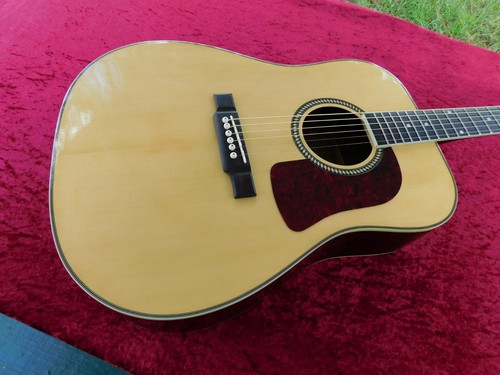 Washburn d14 acoustic - ,