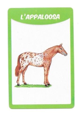 Carte races chevaux - 50,
