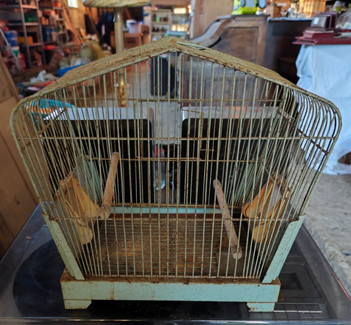 Belle petite cage - petite,