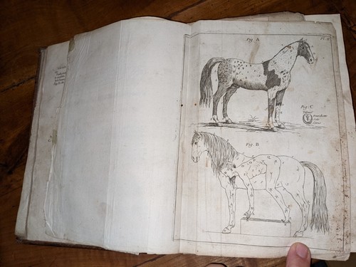 Livre ancien garsault le - ancien,