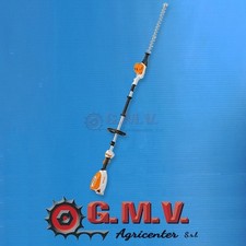 Coupe-haies télescopique à