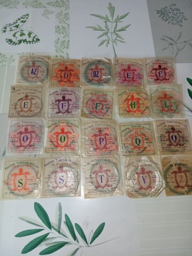 Lot racines tortue très - de, 20