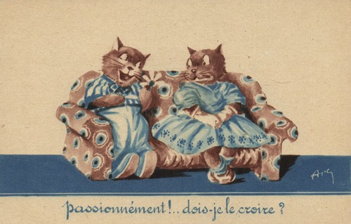 Cats human dress - cats,