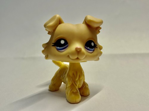 Lps little petshop rare - little,