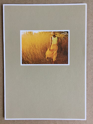Carte postale double david - ,