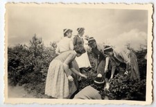 Group portrait young women picking - old photo year. 1960