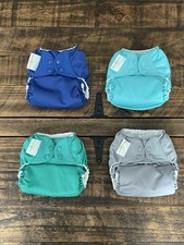 Bumgenius Cloth All-in-One Lot