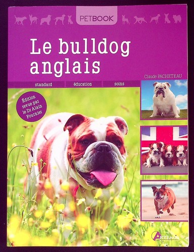 Bulldog anglais standard - le,