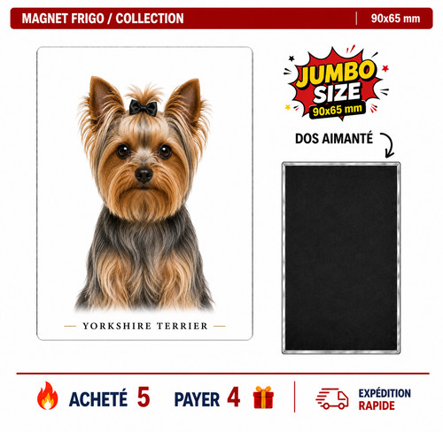 Magnet yorkshire terrier