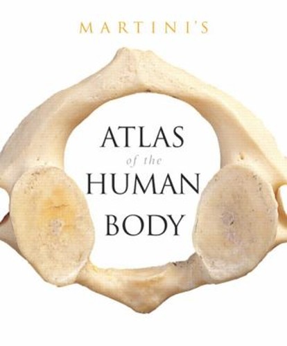 Atlas martini corps - de,