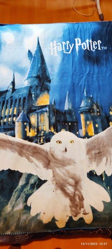 Plaid harry potter avec - harry, le