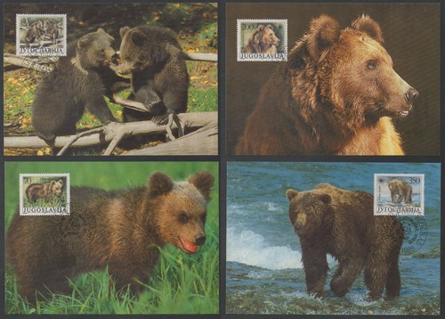 Ours bear bär 1988 - /,