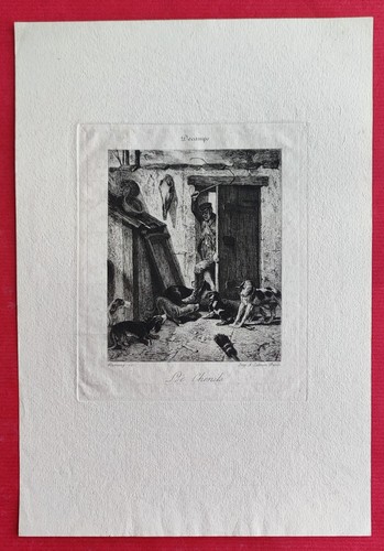 Gravure ancienne chenil - gravure,