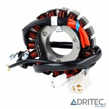 ✅ ALTERNATEUR STATOR pour