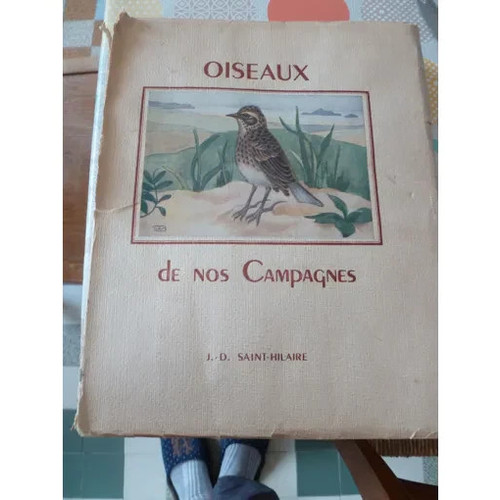 Oiseaux nos campagnes saint - oiseaux, de