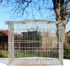 Ancienne cage aux oiseaux en