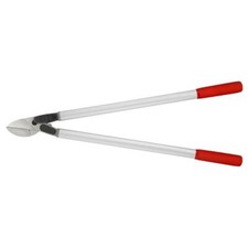 Coupe-branches à transmission