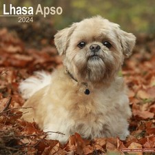 Calendrier 2024 - LHASSA APSO