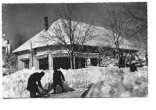 MAROC  IFRANE SOUS LA NEIGE