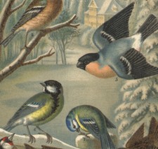 1897 Lithographie originale