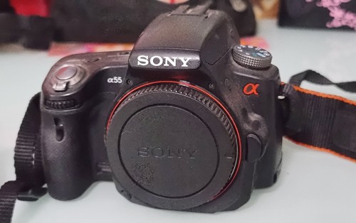 Reflex sony alpha avec - 55,