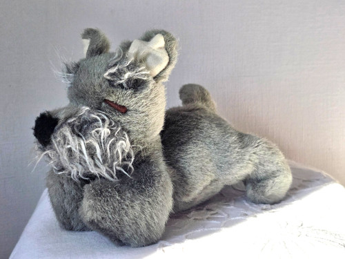Chien schnauzer gipsy endormi - chien,