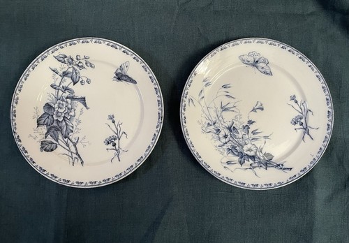 Assiettes plates terre de - terre,