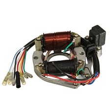 50Cc 110Cc 125Cc 2 Bobine ATV Quad Stator Bobine D'Allumage Plaque Magnéto Ch...
