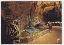 CP VAL DE LOIRE a lively wine cellar Edit YVON