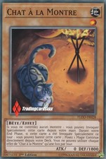 ♦Yu-Gi-Oh!♦ Chat à la