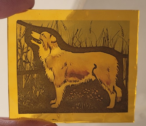 Stained glass border - border, collie