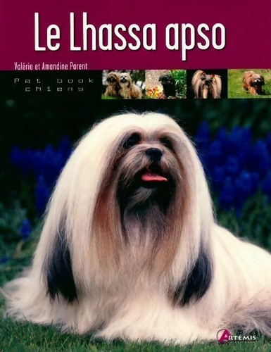 Lhassa apso valérie - -,