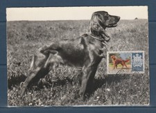 cma/ carte maximum  Saint