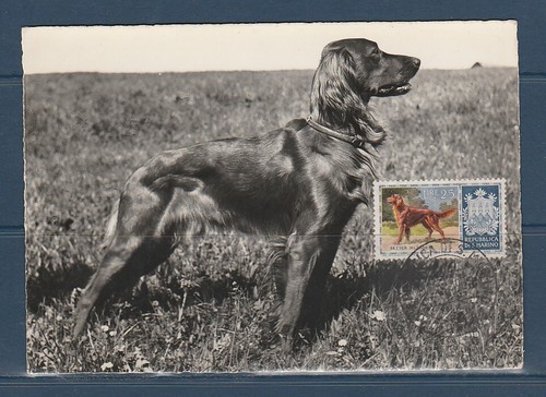 Cma carte maximum saint - carte,