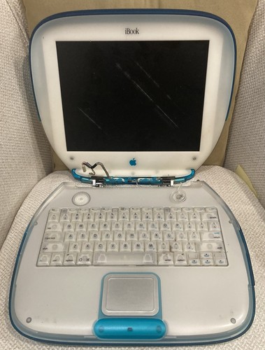 Vintage blueberry apple ibook - apple,