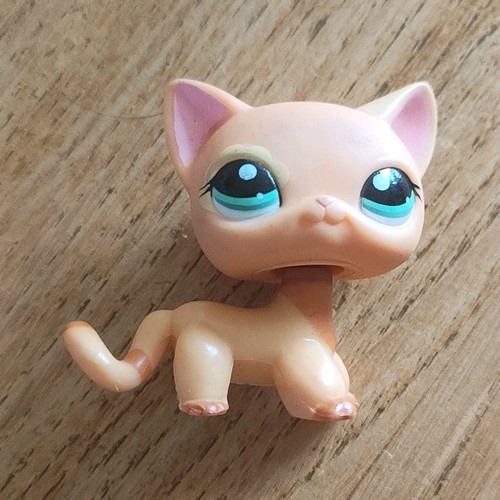 Hasbro littlest pet - hasbro, shop