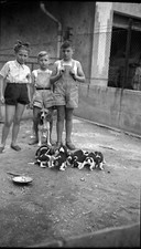 Portrait children with chien puppies - lot 2 antique photo negative year 1950