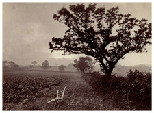 Frank Meadow Sutcliffe, Plow in a Field in Whitby, Yorkshire Vintage Print