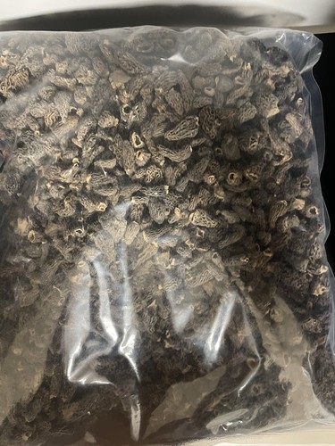 Morilles mini 1 kg - morilles,