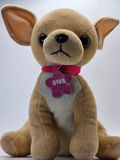  Chihuahua Dog with Diva Collar