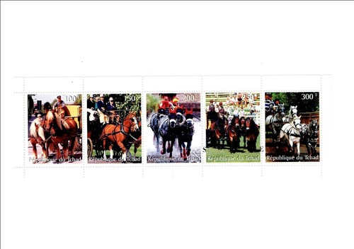 Cheval chevaux timbre - -,