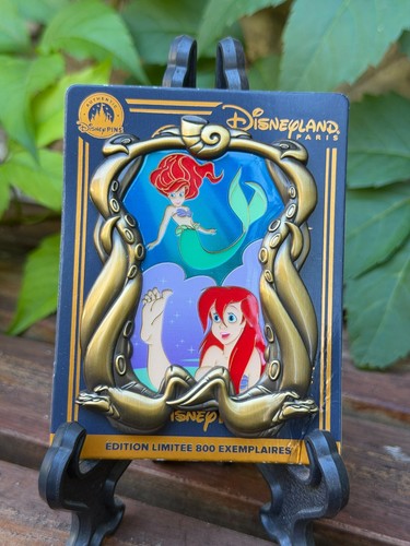 Disneyland paris pin - disneyland,