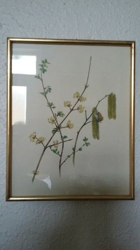 Aquarelle encadree sous verre - aquarelle,