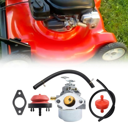 Carburateur remplace 640058