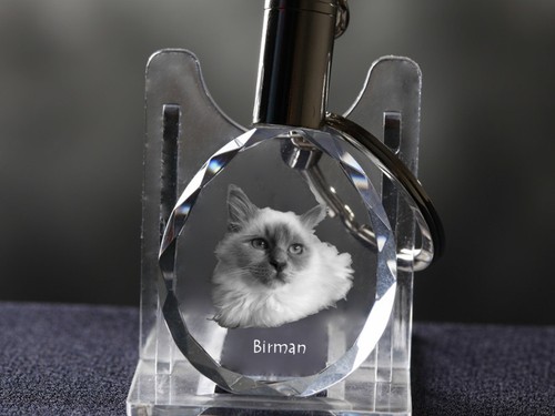 Sacré birmanie - sacré,