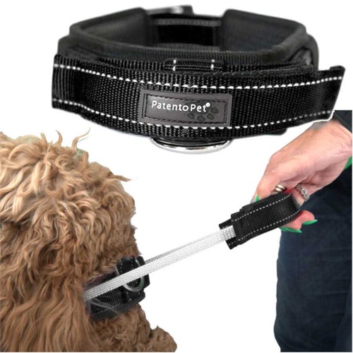 Collier dressage pour chien - de,